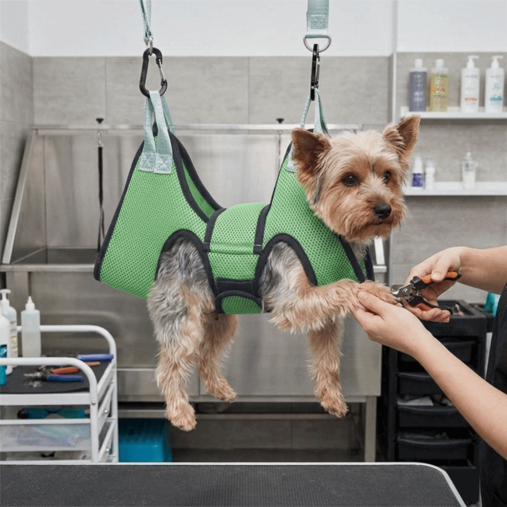 Adjustable Dog Grooming Hammoc - đánh giá và giá Pet Grooming Hammock Sling Restraint