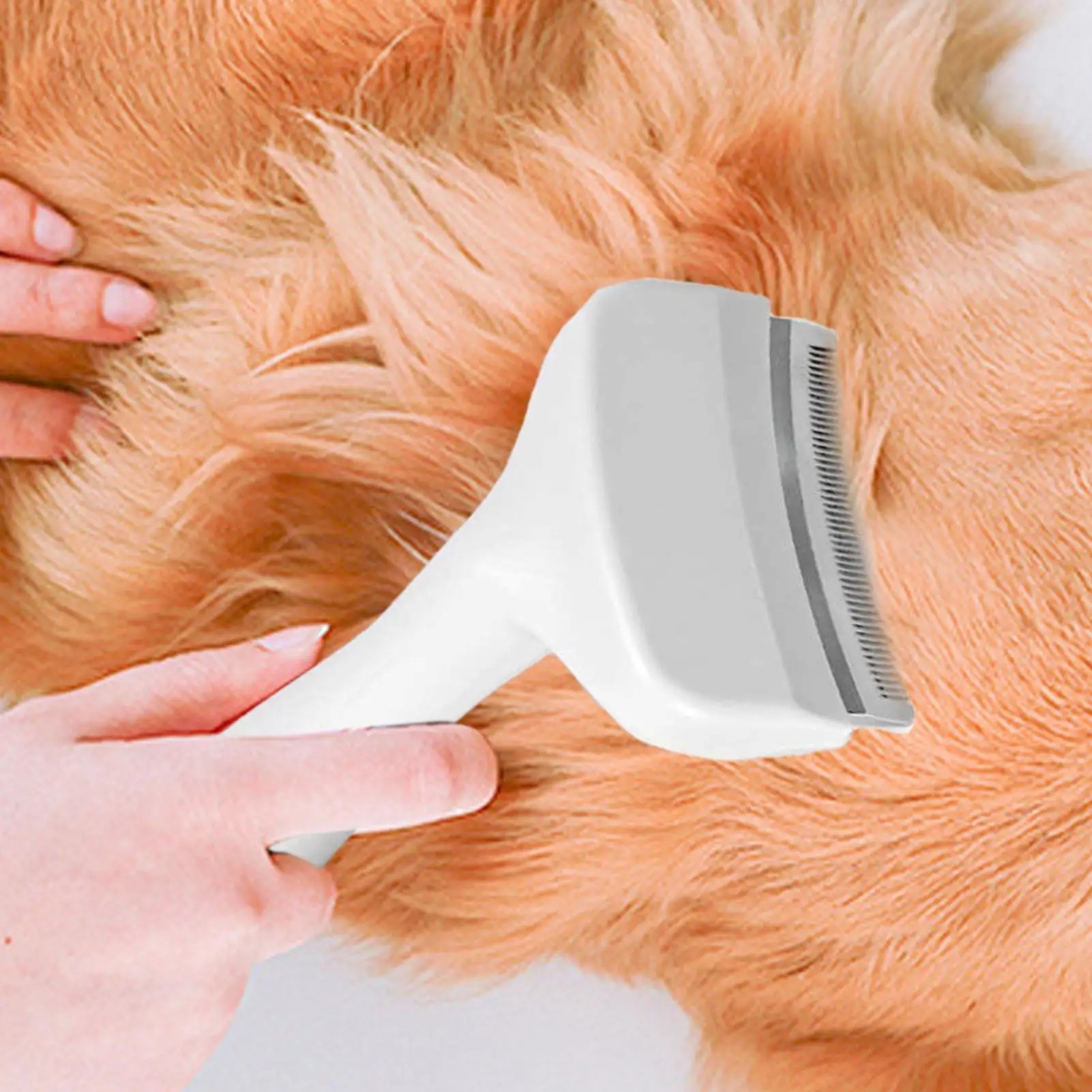 Slicker Brush For Dogs Underco - đánh giá và giá Undercoat Rake Dematting Tool Dog Shedding