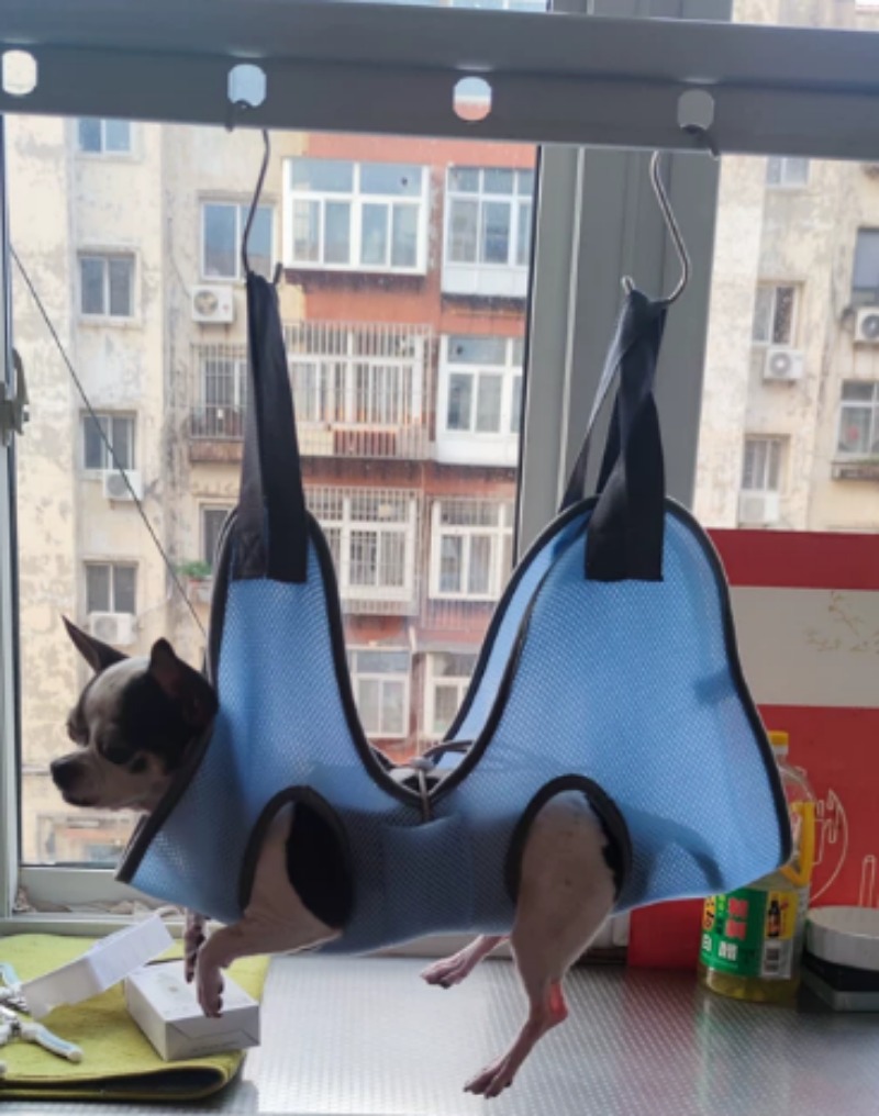 Pet Grooming Hammock Hanging B - đánh giá và giá Pet Grooming Hammock Sling Restraint