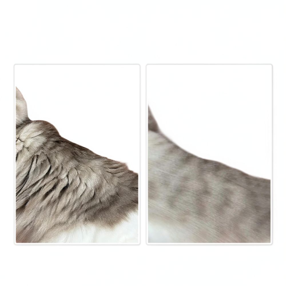 Professional Dog Grooming Brus - đánh giá và giá Undercoat Rake Dematting Tool Dog Shedding
