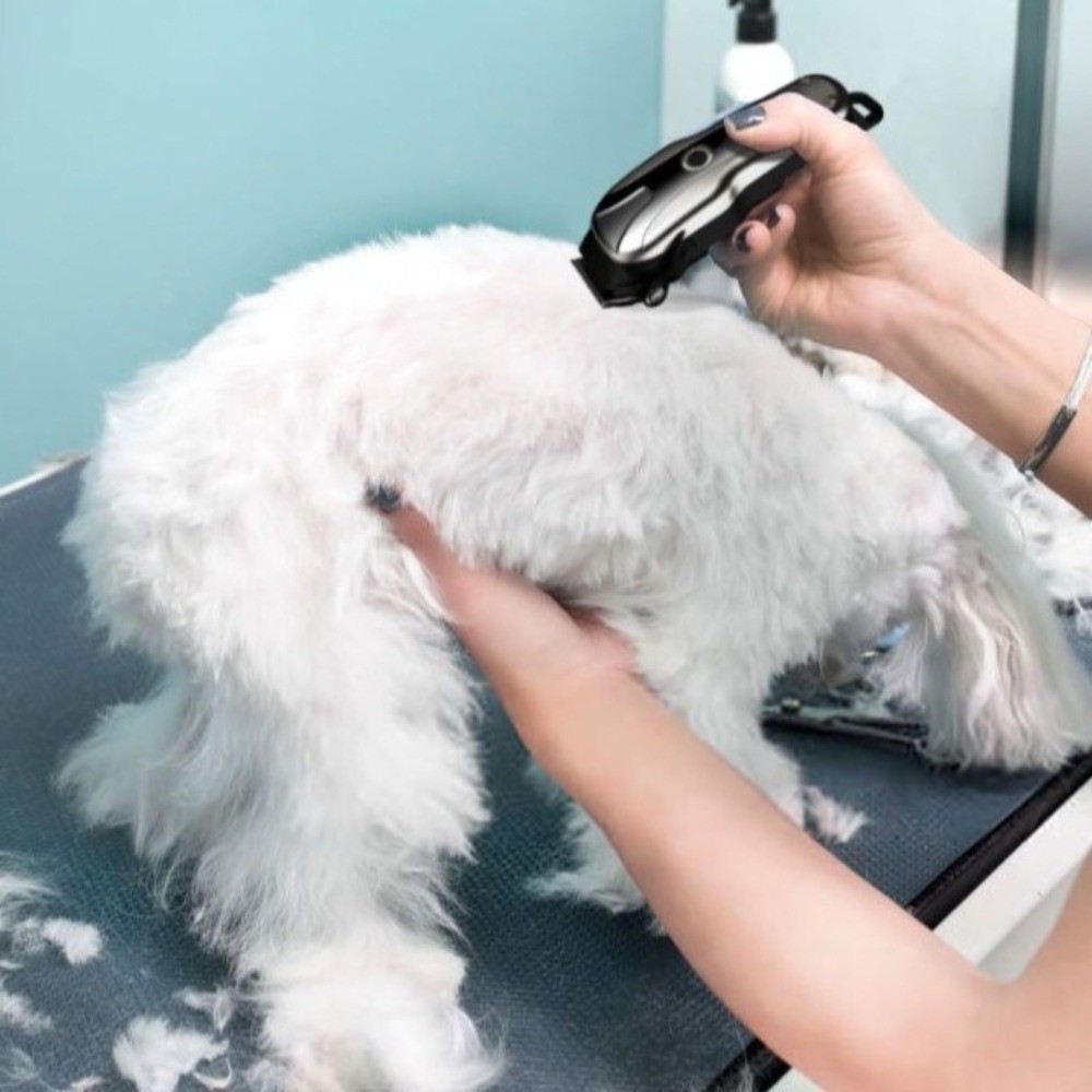 Universal USB Rechargeable Ele - đánh giá và giá Cordless Dog Clippers Low Noise Grooming