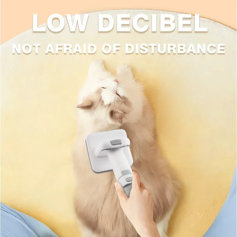 for DSP Professional Pet Groom - đánh giá và giá Cordless Dog Clippers Low Noise Grooming